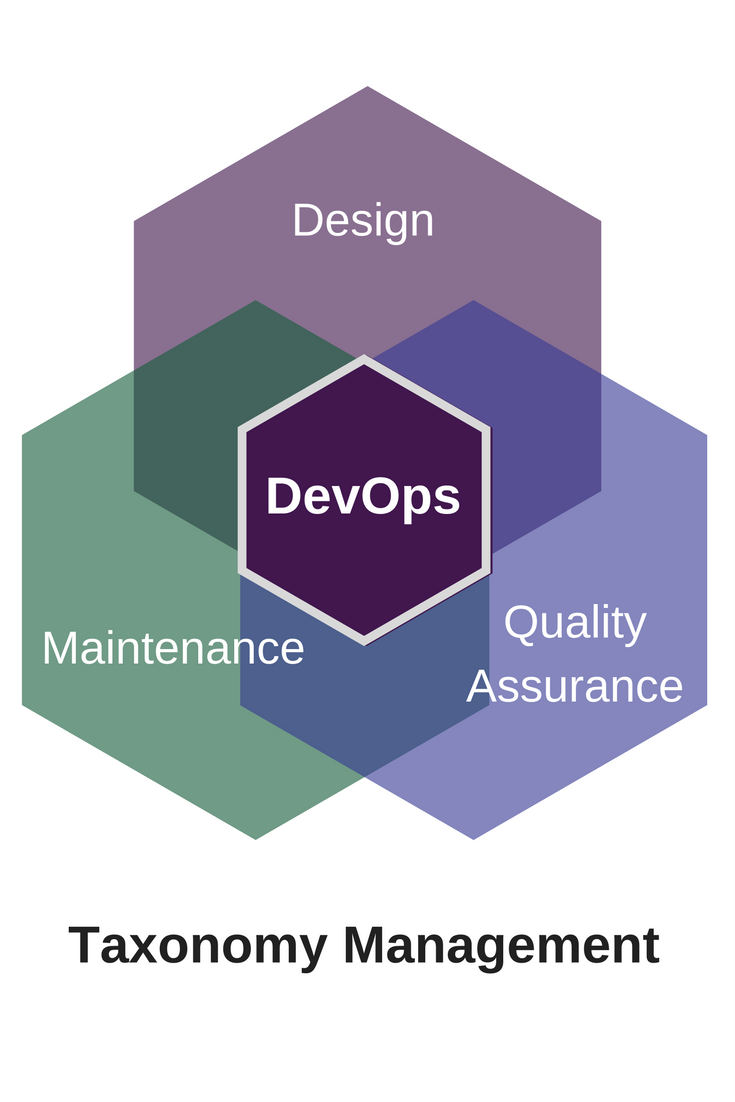 Agile Taxonomy Maintenance