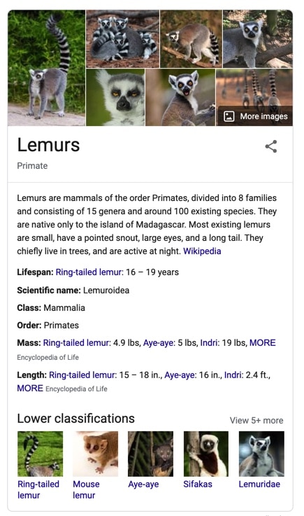 A knowledge panel that appears if you search "Lemurs" in google.
