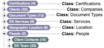 Example of classes of a taxonomy