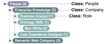 Example of classes in a taxonomy