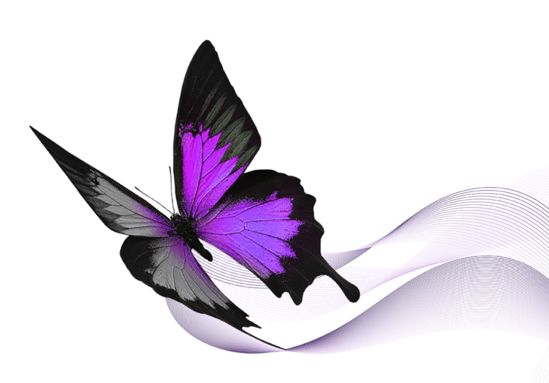 Purple and grey butterfly with wispy trails