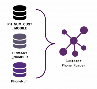 A node icon labeled "Customer Phone Number" has several child branches off of it labeled "PH_NUM_CUST_MOBILE", "PRIMARY_NUMBER", and "PhoneNum" respectively.