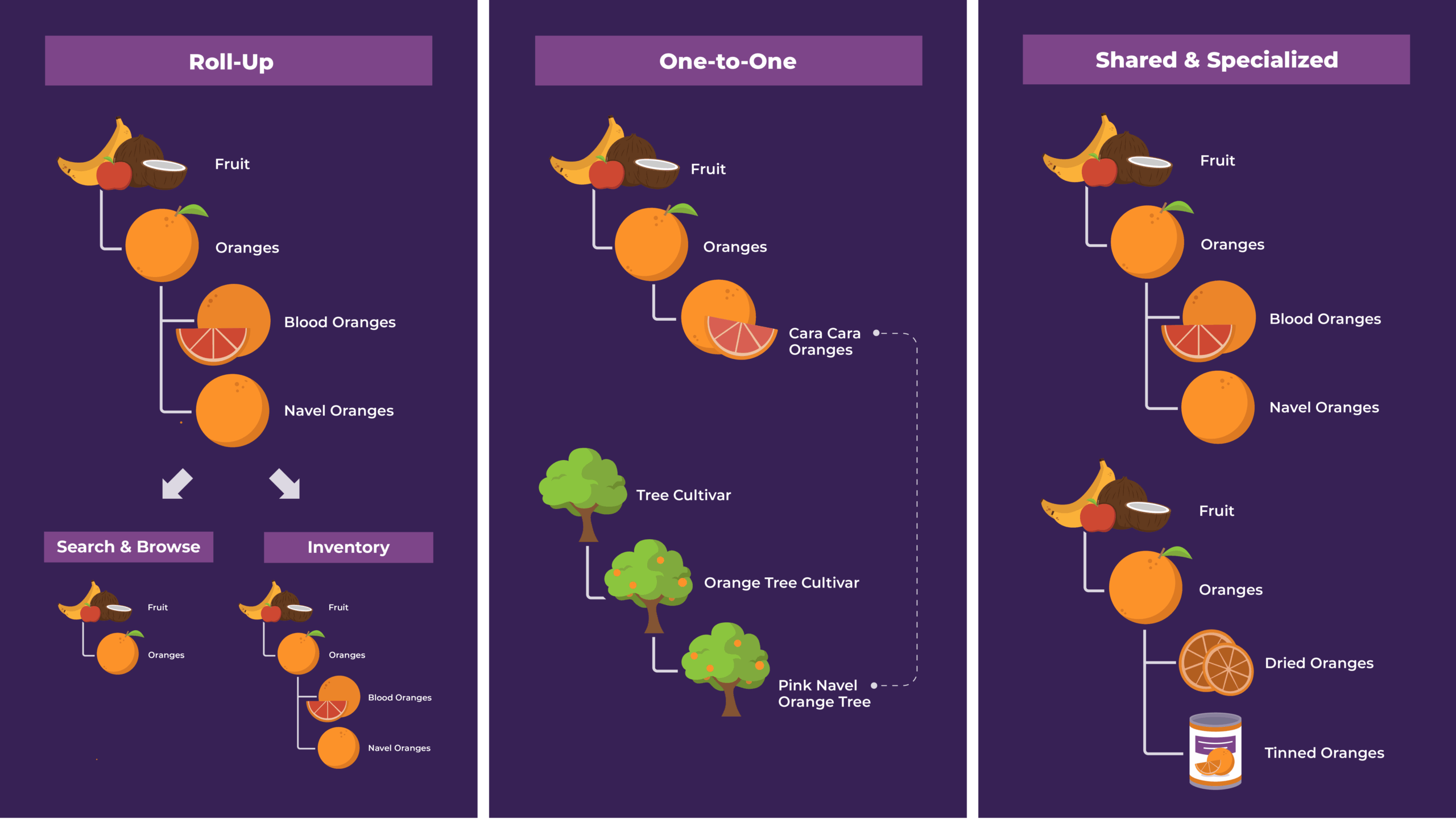 Graphic using fruits to visualize the different types of taxonomy design.
