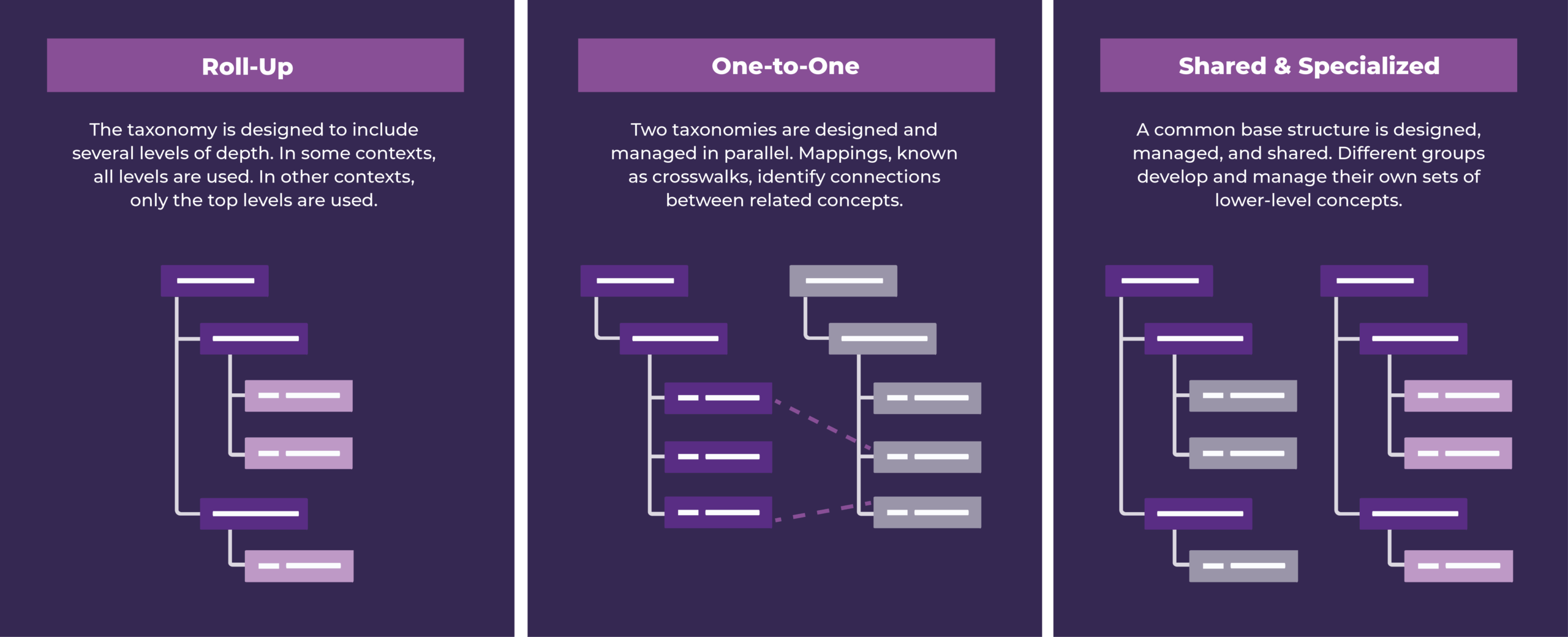 Graphic explaining the three types of taxonomy designs and what they do.